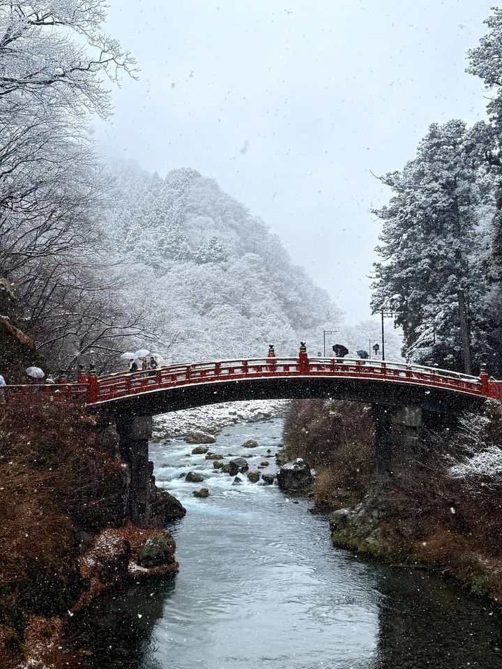 Winter — snow